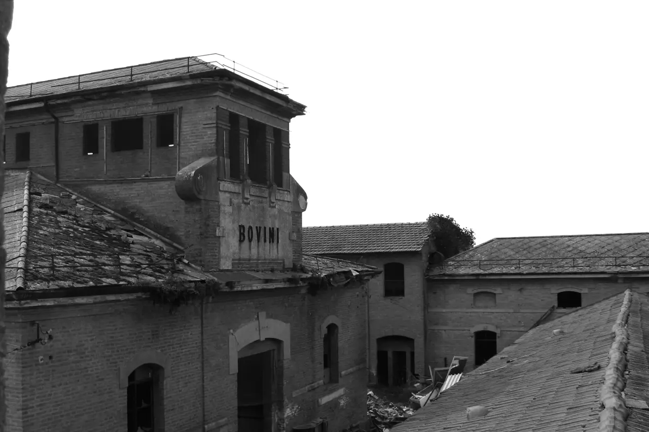 Macello